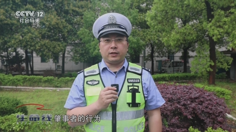 生命线 《生命线》 20241015