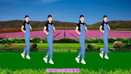 DJ广场舞《你是我唯一的执着》动感32步