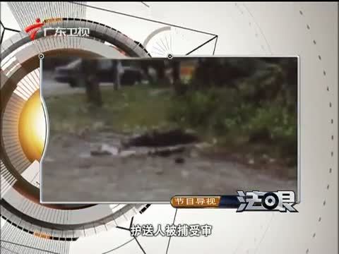 法眼 《法眼》 20131016 冻死路边的少女