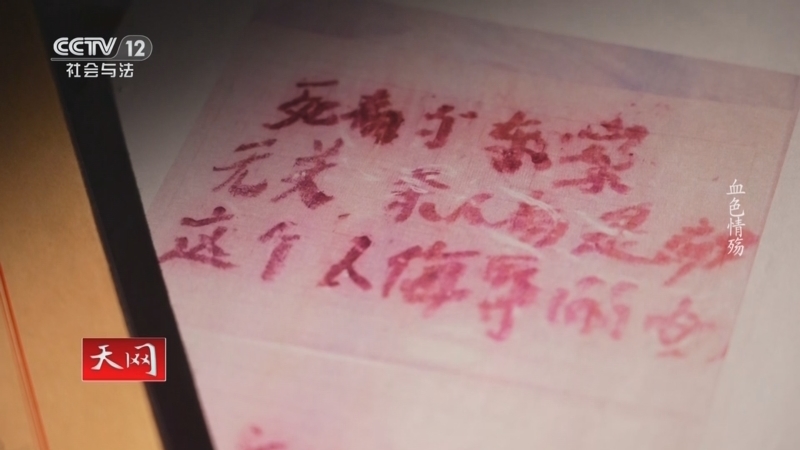 天网 《天网》 20250714 血色情殇