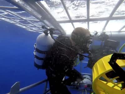 《鲨鱼周》第五期 澳洲猛鲨岛寻觅诡异巨兽