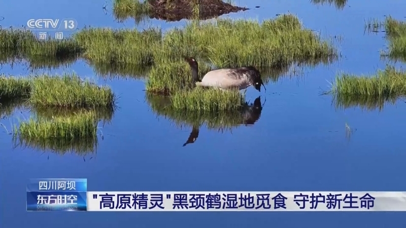 东方时空 《东方时空》 20250625