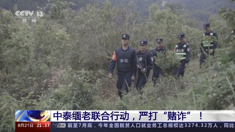 新闻1+1 《新闻1+1》 20230821 中泰缅老联合行动，严打“赌诈”！