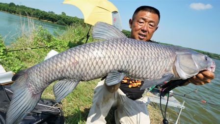 游钓中国 第三季 第22集 奔赴沙港周公送来青混 钓友亦步亦趋终有斩获