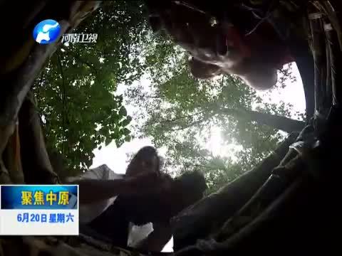 聚焦中原 《聚焦中原》 20150620 《文明河南 情暖端午》系列报道之一 龙舟记忆长 槲包分外香