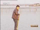 生财有道 [生财有道]小蟹农和大闸蟹(20130118)