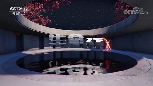 生命线 《生命线》 20191206