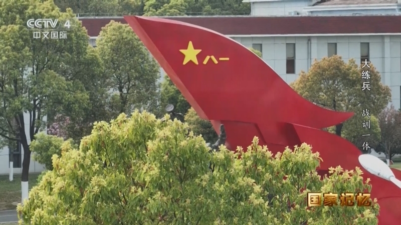 国家记忆 《国家记忆》 20240801 大练兵 战训一体
