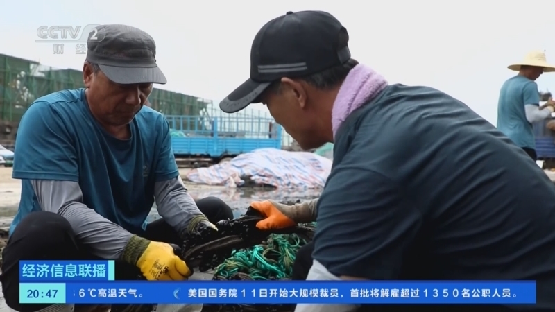 经济信息联播 《经济信息联播》 20250712
