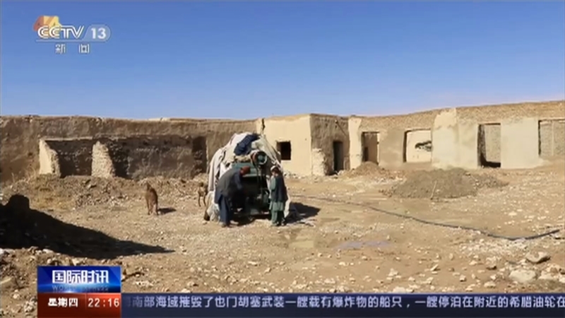 国际时讯 《国际时讯》 20201126