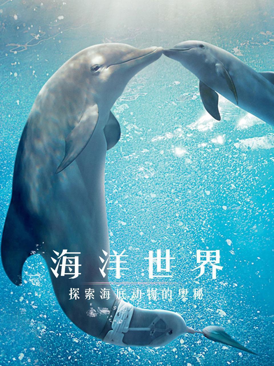 海洋世界：探索海底动物的奥秘