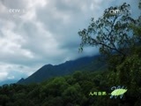 人与自然 《人与自然》 20161203 冷血温情——冷血家族的秘密（上）