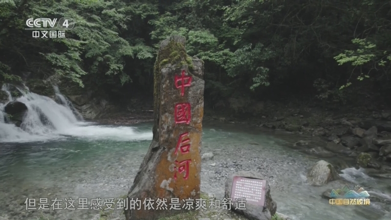 远方的家 《远方的家》 20260722 中国自然秘境 武陵山中的绿色家园