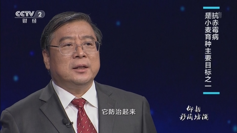 中国经济大讲堂 《中国经济大讲堂》 20221113 藏粮于技：小麦育种如何从基因突破