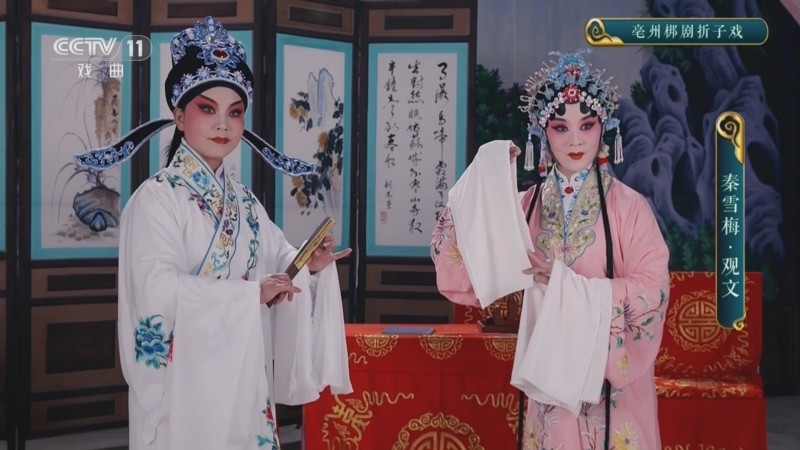CCTV空中剧院 《CCTV空中剧院》 20241026 亳州梆剧折子戏《秦雪梅·观文》