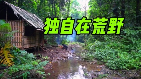 独自一人在越南热带雨林荒野求生