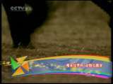 新闻袋袋裤 新闻袋袋裤 2010年 第133期