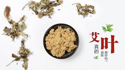 本草说 艾叶真的越陈越好吗？