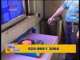 生财有道 生财有道 2010-01-21