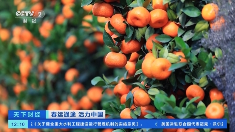 《天下财经》 20260208