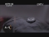 天网 《天网》 20140128 夜幕里的秘密