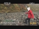 远方的家 江河万里行 第162集 鸭绿江 森林中的长白 20141211《远方的家》