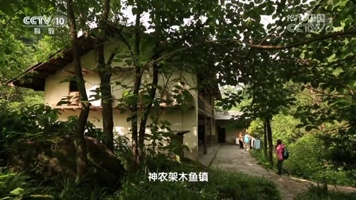 地理中国 《地理中国》 20190928 青龙幽潭