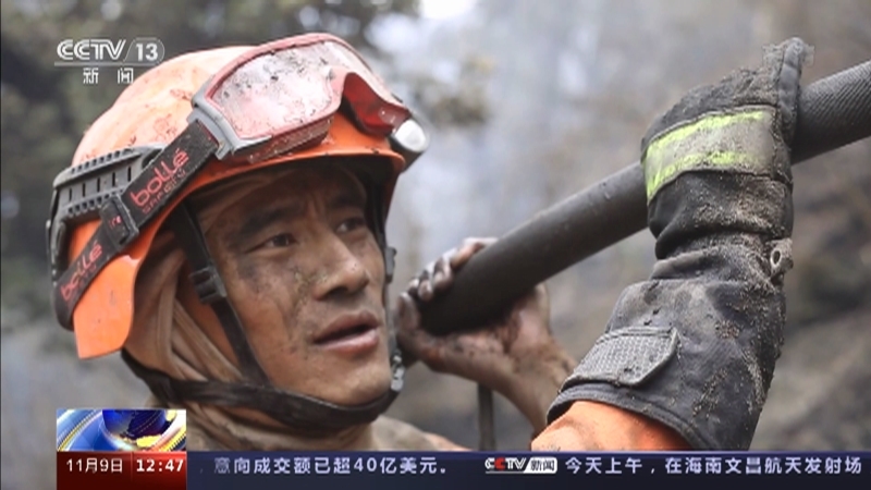 法治在线 《法治在线》 20221109