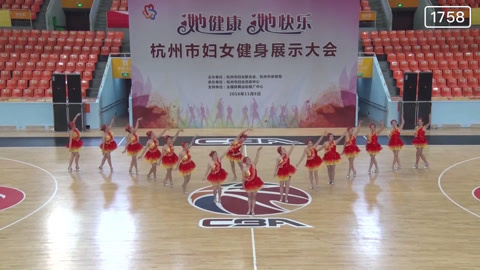 广场舞 广场舞《飞》