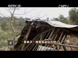 致富经 《致富经》 20150525 “葛疯子”刨根刨出亿万财