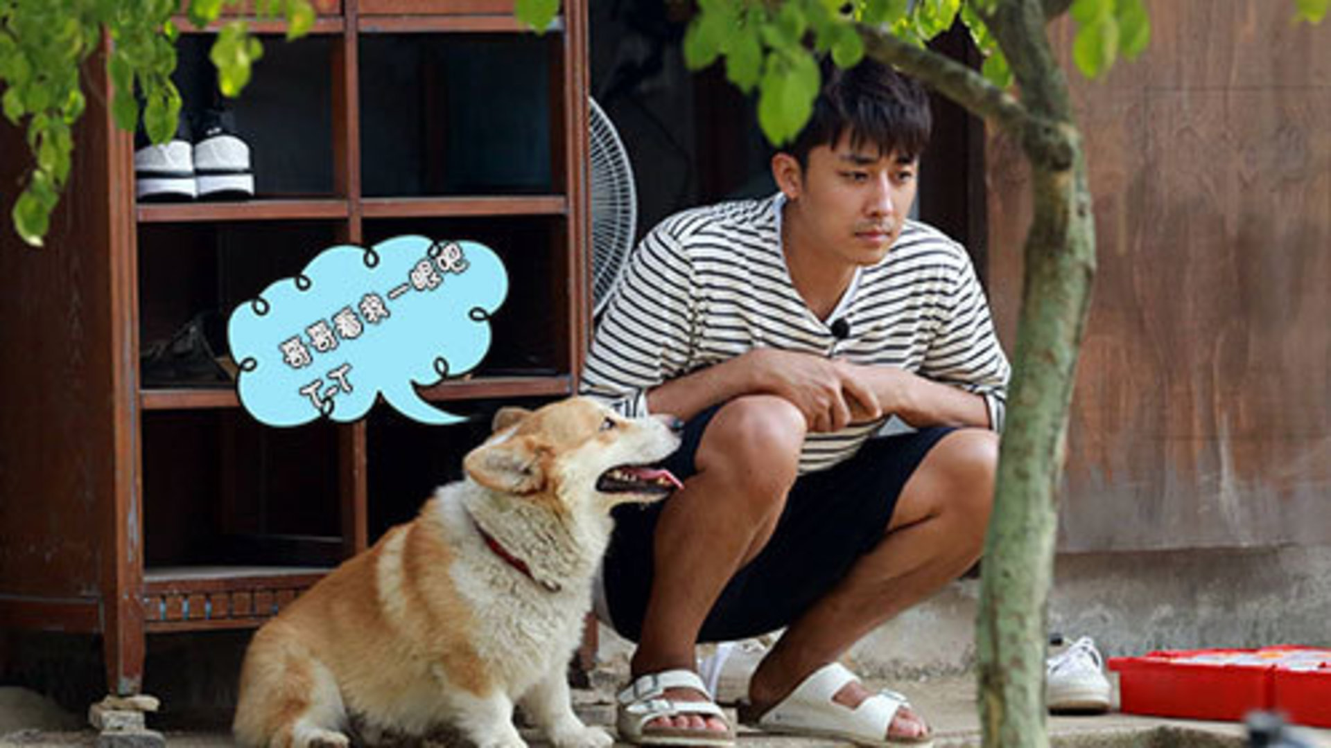 [第8期]短腿美男“冬天”卖萌求关注