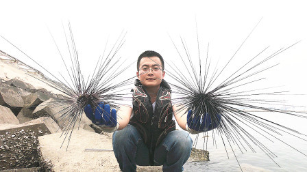 思乡渔夫 这海胆“成精了”？海胆刺有20几公分，渔…