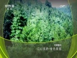地理中国 《地理中国》 20160813 江山多娇·绿色家园