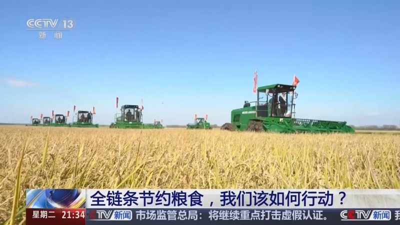 新闻1+1 《新闻1+1》 20241126 全链条节约粮食，我们该如何行动？