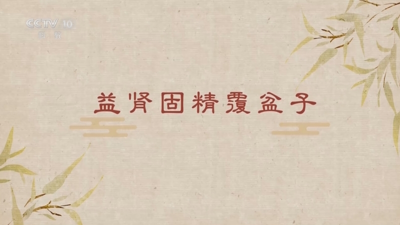 百家讲坛 《百家讲坛》 20260209 舌尖上的养生（第三部） 20 益肾固精覆盆子