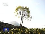 军事报道 《军事报道》 20160426