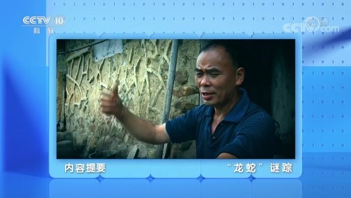 地理中国 《地理·中国》 20200616 “龙蛇”谜踪