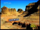 新闻袋袋裤 新闻袋袋裤 2010年 第259期