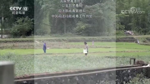 热线12 《热线12》 20190624 禁毒之战2019——海陆行动