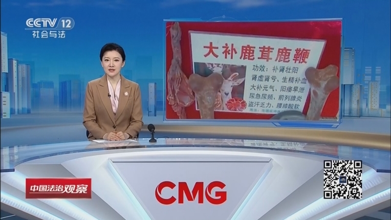 热线12 《中国法治观察》 20260525