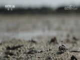 快乐体验 《快乐体验》 20180607 北海拾贝