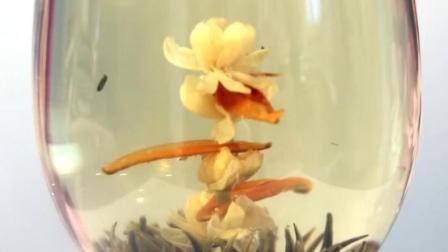 泡在水里会开花的茶叶 边喝茶边赏花