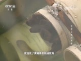 我爱发明 《我爱发明》 20180721 住进公寓的黄鳝