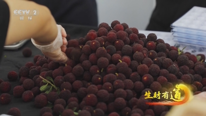 生财有道 《生财有道》 20240621 枇杷黄半城 杨梅红江南