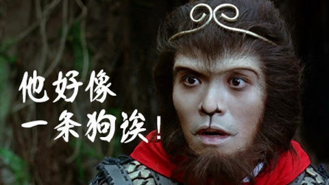 中国功夫史 周星驰和他的宠物之旅