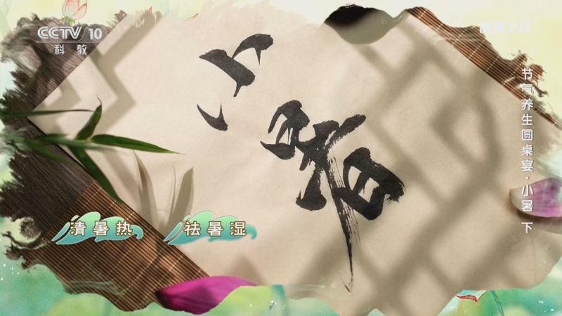 健康之路 《健康之路》 20260708 节气养生圆桌宴·小暑（下）