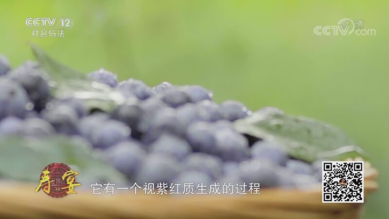 夕阳红 《夕阳红》 20201108 寿宴 第十七集 闪亮的水果