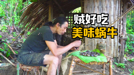 原始丛林人苏门答腊 第二季 热带雨林生存，来一顿美味蜗牛，也是不错的开胃小菜