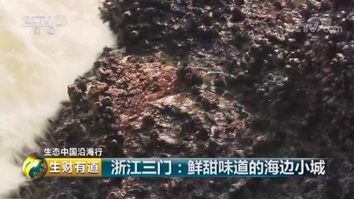 生财有道 《生财有道》 20190222 生态中国沿海行——浙江三门：鲜甜味道的海边小城