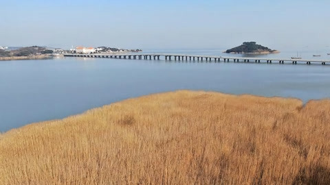 特别关注20210201